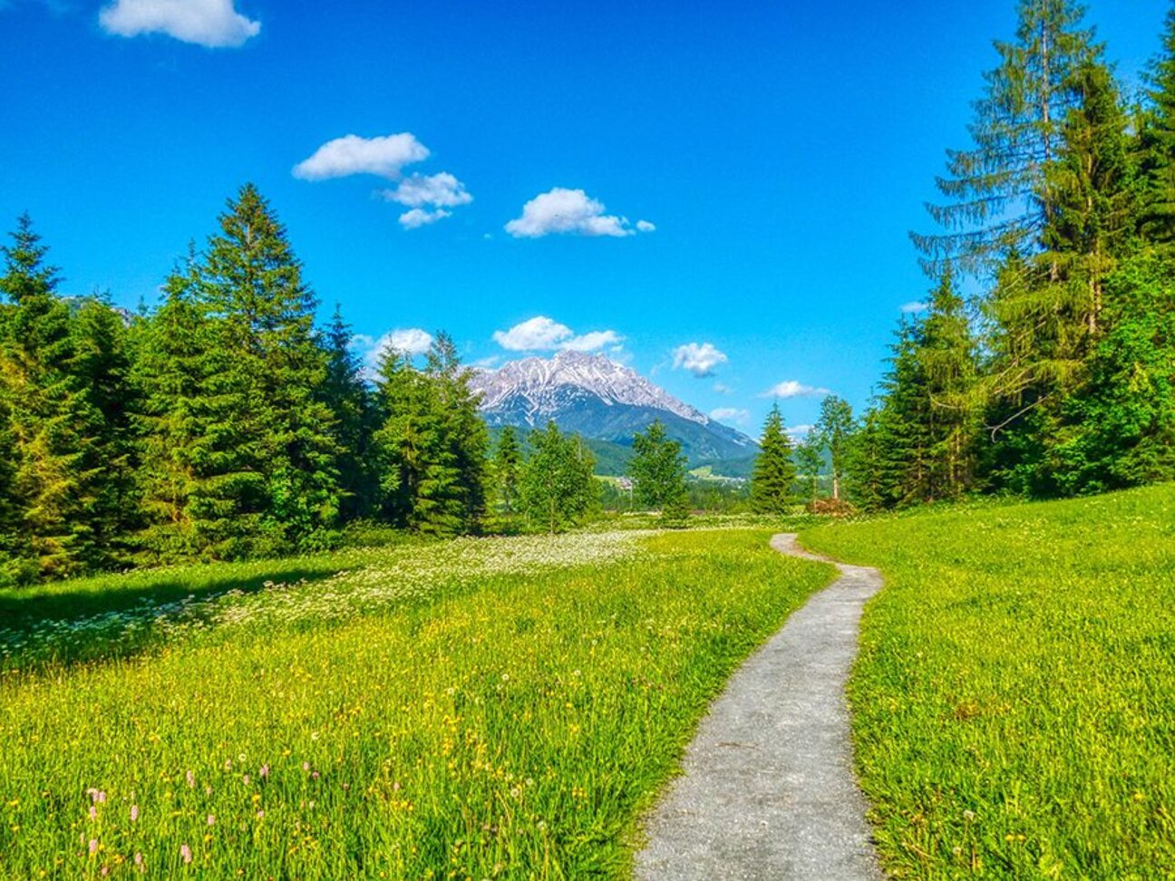 12_Schoene-Wanderwege-rund-um-den-Gasthof-Mittendorfer